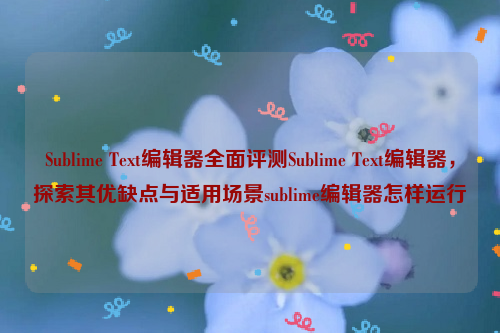 Sublime Text编辑器全面评测Sublime Text编辑器，探索其优缺点与适用场景sublime编辑器怎样运行