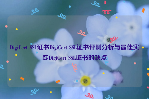 DigiCert SSL证书DigiCert SSL证书评测分析与最佳实践DigiCert SSL证书的缺点