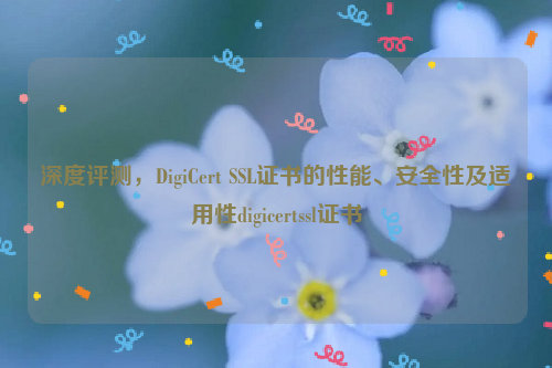 深度评测，DigiCert SSL证书的性能、安全性及适用性digicertssl证书