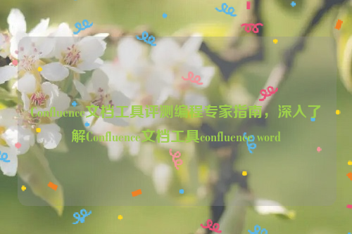 Confluence文档工具评测编程专家指南，深入了解Confluence文档工具confluence word