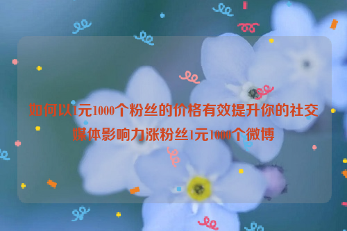 如何以1元1000个粉丝的价格有效提升你的社交媒体影响力涨粉丝1元1000个微博