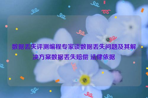 数据丢失评测编程专家谈数据丢失问题及其解决方案数据丢失赔偿 法律依据