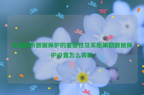 全面解析数据保护的重要性及实施策略数据保护设置怎么弄啊