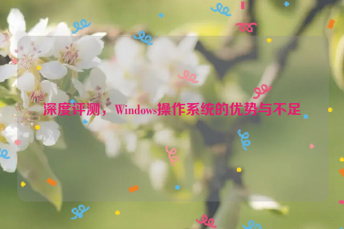 深度评测，Windows操作系统的优势与不足