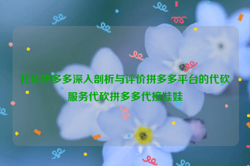 代砍拼多多深入剖析与评价拼多多平台的代砍服务代砍拼多多代接娃娃