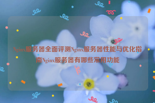 Nginx服务器全面评测Nginx服务器性能与优化指南Nginx服务器有哪些常用功能