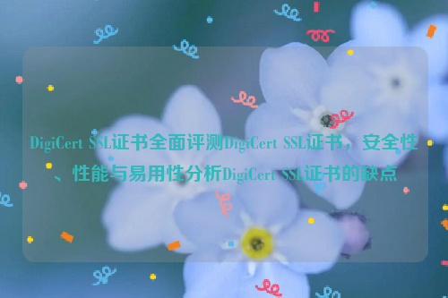 DigiCert SSL证书全面评测DigiCert SSL证书，安全性、性能与易用性分析DigiCert SSL证书的缺点