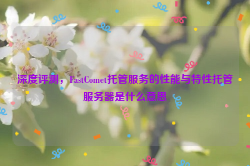 深度评测，FastComet托管服务的性能与特性托管服务器是什么意思