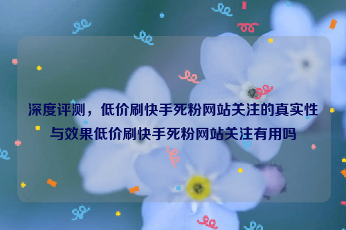 深度评测，低价刷快手死粉网站关注的真实性与效果低价刷快手死粉网站关注有用吗