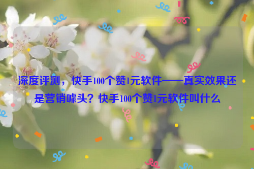 深度评测，快手100个赞1元软件——真实效果还是营销噱头？快手100个赞1元软件叫什么