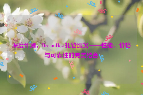 深度评测，DreamHost托管服务——性能、价格与可靠性的完美结合