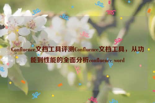 Confluence文档工具评测Confluence文档工具，从功能到性能的全面分析confluence word