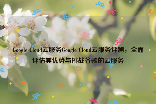 Google Cloud云服务Google Cloud云服务评测，全面评估其优势与挑战谷歌的云服务