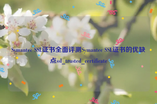 Symantec SSL证书全面评测Symantec SSL证书的优缺点ssl_trusted_certificate