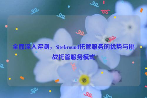 全面深入评测，SiteGround托管服务的优势与挑战托管服务模式