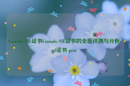 Comodo SSL证书Comodo SSL证书的全面评测与分析ssl证书 pem