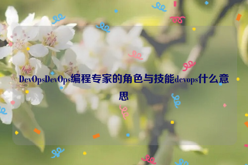 DevOpsDevOps编程专家的角色与技能devops什么意思