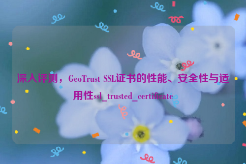 深入评测，GeoTrust SSL证书的性能、安全性与适用性ssl_trusted_certificate