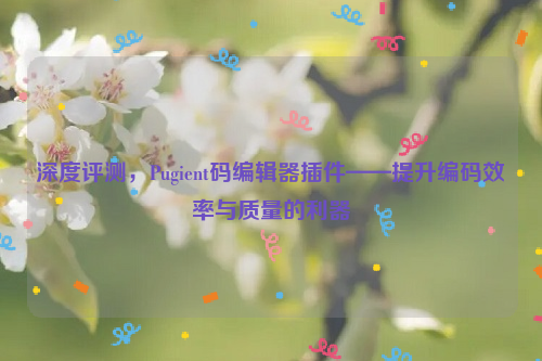 深度评测，Pugient码编辑器插件——提升编码效率与质量的利器