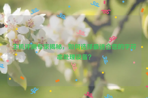 主机评测专家揭秘，如何选择最适合您的字符串处理设备？