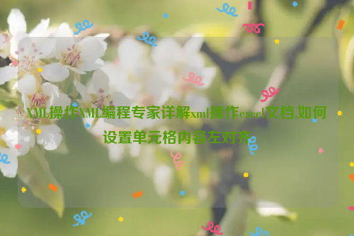 XML操作XML编程专家详解xml操作excel文档,如何设置单元格内容左对齐