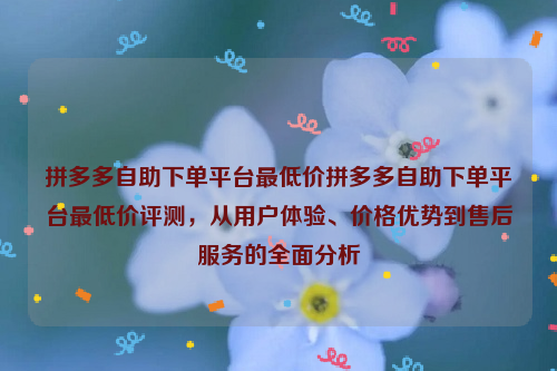 拼多多自助下单平台最低价拼多多自助下单平台最低价评测，从用户体验、价格优势到售后服务的全面分析