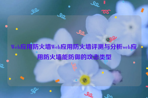 Web应用防火墙Web应用防火墙评测与分析web应用防火墙能防御的攻击类型