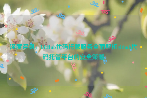 深度评测，GitHub代码托管服务全面解析github代码托管平台的安全策略