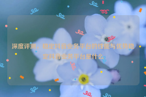 深度评测，稳定抖音业务平台的性能与优势稳定抖音业务平台是什么