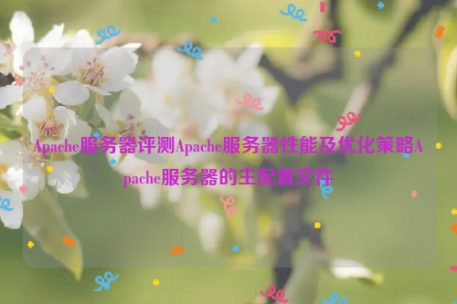 Apache服务器评测Apache服务器性能及优化策略Apache服务器的主配置文件