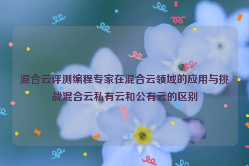 混合云评测编程专家在混合云领域的应用与挑战混合云私有云和公有云的区别