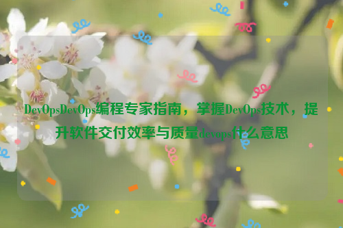 DevOpsDevOps编程专家指南，掌握DevOps技术，提升软件交付效率与质量devops什么意思