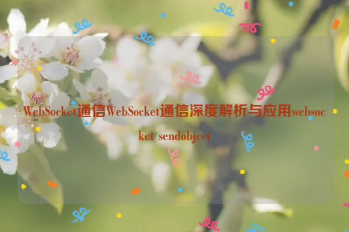 WebSocket通信WebSocket通信深度解析与应用websocket sendobject