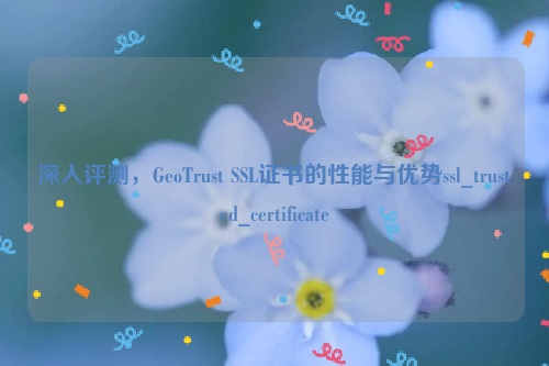 深入评测，GeoTrust SSL证书的性能与优势ssl_trusted_certificate