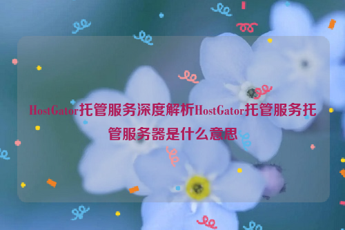 HostGator托管服务深度解析HostGator托管服务托管服务器是什么意思