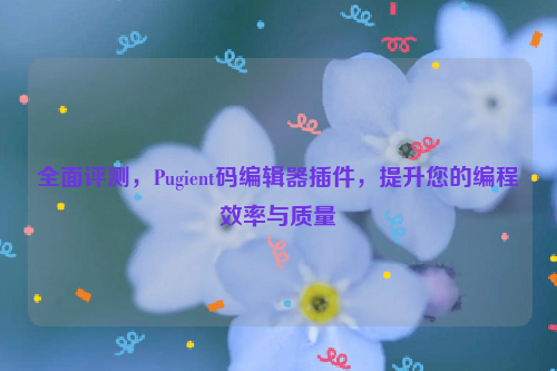 全面评测，Pugient码编辑器插件，提升您的编程效率与质量