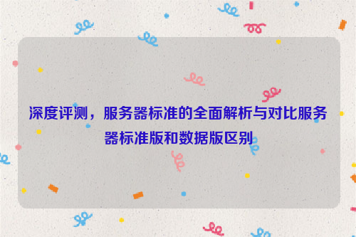 深度评测，服务器标准的全面解析与对比服务器标准版和数据版区别