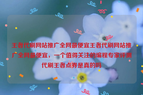 王者代刷网站推广全网最便宜王者代刷网站推广全网最便宜，一个值得关注的编程专家评测代刷王者点券是真的吗