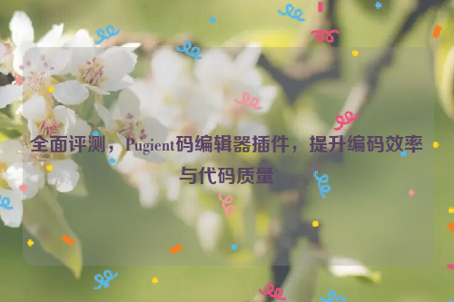 全面评测，Pugient码编辑器插件，提升编码效率与代码质量