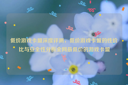 低价游戏卡盟深度评测，低价游戏卡盟的性价比与安全性分析全网最低价的游戏卡盟