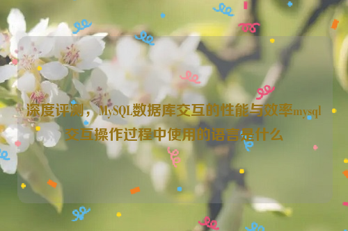 深度评测，MySQL数据库交互的性能与效率mysql交互操作过程中使用的语言是什么