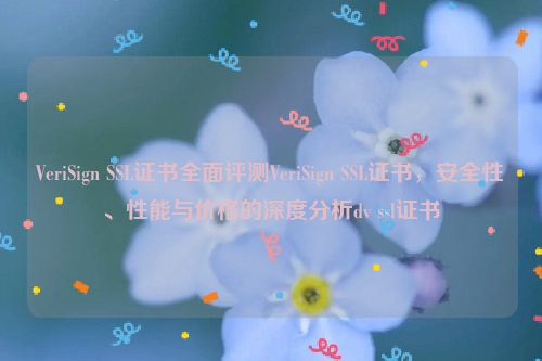 VeriSign SSL证书全面评测VeriSign SSL证书，安全性、性能与价格的深度分析dv ssl证书