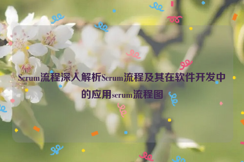 Scrum流程深入解析Scrum流程及其在软件开发中的应用scrum流程图