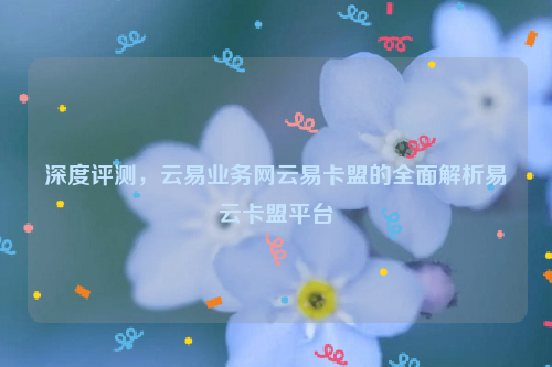 深度评测，云易业务网云易卡盟的全面解析易云卡盟平台