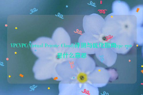 VPCVPC(Virtual Private Cloud)评测与优化指南vpc run是什么意思