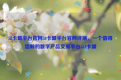 58卡盟平台官网58卡盟平台官网评测，一个值得信赖的数字产品交易平台518卡盟