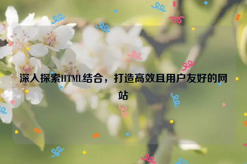 深入探索HTML结合，打造高效且用户友好的网站