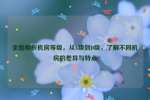 全面解析机房等级，从A级到D级，了解不同机房的差异与特点