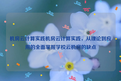 机房云计算实践机房云计算实践，从理论到应用的全面掌握学校云机房的缺点