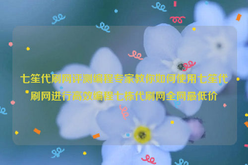 七笙代刷网评测编程专家教你如何使用七笙代刷网进行高效编程七栋代刷网全网最低价